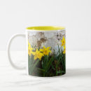 Search for st david mugs David's