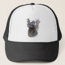 Search for australia koala hats Animal
