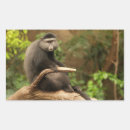 Search for monkeys rectangle stickers Animal