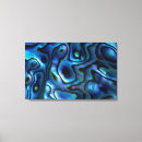 Search for abalone art Abstract
