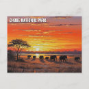 Search for botswana postcards Travel