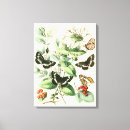 Search for butterfly canvas prints Leaves
