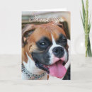 Search for boxer dog thank you cards Dogs