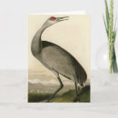 Search for crane bird cards Audubon