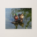 Search for duck puzzles Water bird