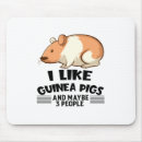 Search for guinea pig mouse mats Animals
