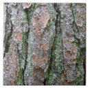 Search for pine bark Brown