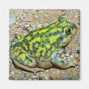 Search for toads magnets Wildlife