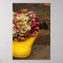 Search for dried flowers posters Photography