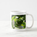 Search for hosta mugs Garden