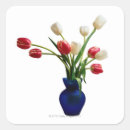 Search for paper cut out stickers Close up