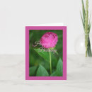 Search for pink peony birthday cards Summer