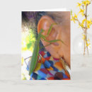 Search for praying mantis cards Insects