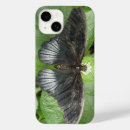 Search for lepidoptera iphone cases Insects