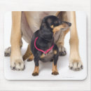 Search for bizarre mouse mats Vertical