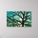 Search for bare tree canvas prints Sunset