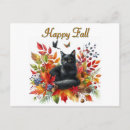 Search for black mail horizontal postcards Nature