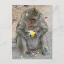 Search for be mine postcards Humour