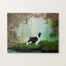 Search for springer spaniel puzzles English