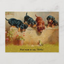 Search for dachshund puppy postcards Dogs
