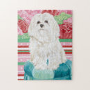 Search for maltese dog puzzles Pets