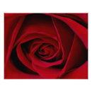 Search for rosebud posters Elegant