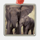 Search for tanzania christmas tree decorations African elephant
