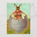 Search for easter bunny egg Rabbit