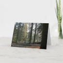 Search for sierra cards Trees