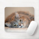 Search for russian mouse mats Grey