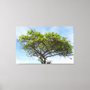 Search for emerald green canvas prints Blue