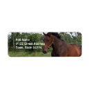Search for equestrian return address labels Bay horse