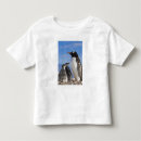 Search for two penguins tshirts Antarctica