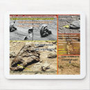 Search for beings electronics Animals