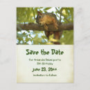 Search for squirrel photo invitations Cute