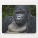 Search for silverback mouse mats Gorilla