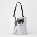 Search for studio shot bags Baby animals