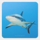 Search for dangerous animals stickers Risk