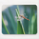 Search for animals vertical standard mouse mats Red