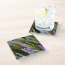 Search for field barware Photograph