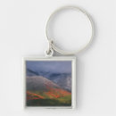 Search for fall winter key rings Autumn