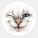 Search for winking cat stickers Kitten