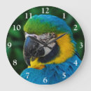 Search for blue parrot clocks Animal