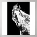 Search for dream horse posters Unicorn