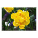 Search for tulip wedding art Nature