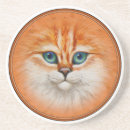 Search for kitty coasters Tabby