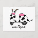 Search for cartoon bull postcards Moo