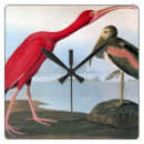 Search for scarlet ibis posters Birds of america