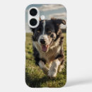 Search for border collie iphone cases Herding