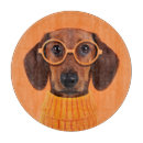 Search for dachshund chopping boards Cute